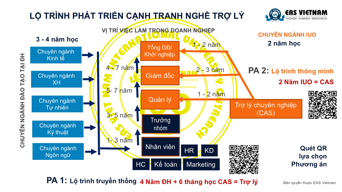 lo trinh tro ly chuyen nghiep