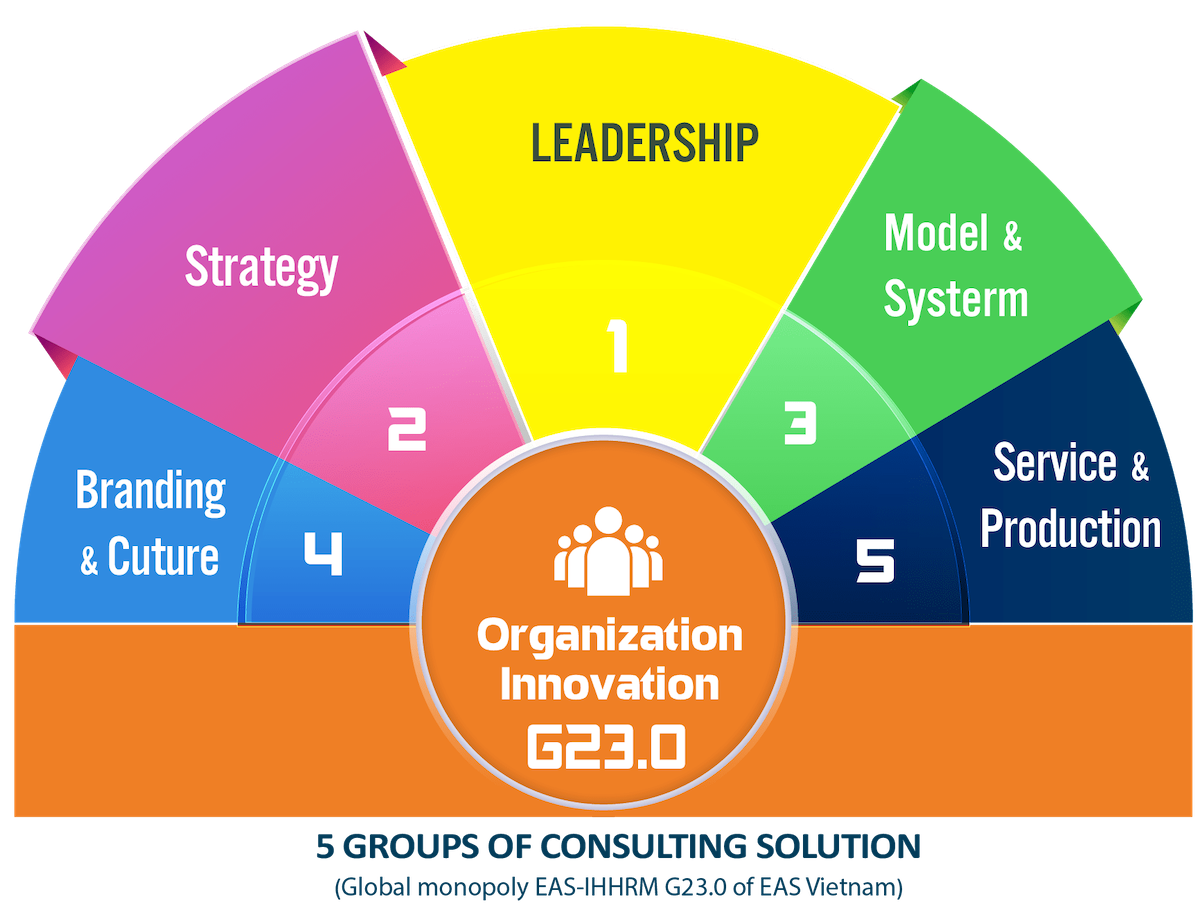 5 Groups Of Consulting Soution 02 Min (1)